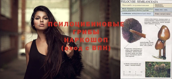 ПСИЛОЦИБИНОВЫЕ ГРИБЫ Абинск