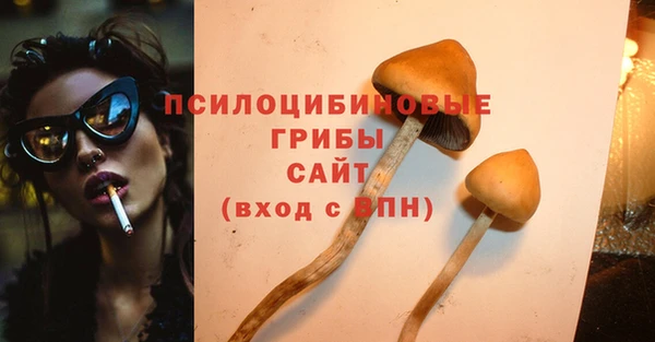 кокс Абаза