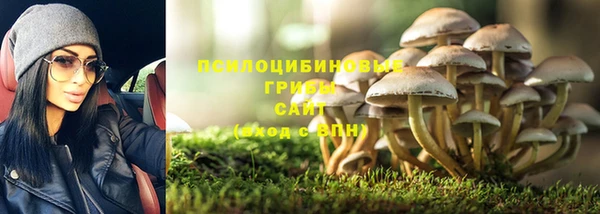 ПСИЛОЦИБИНОВЫЕ ГРИБЫ Абинск