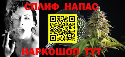 дурь Кингисепп