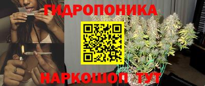 дмт Кимры